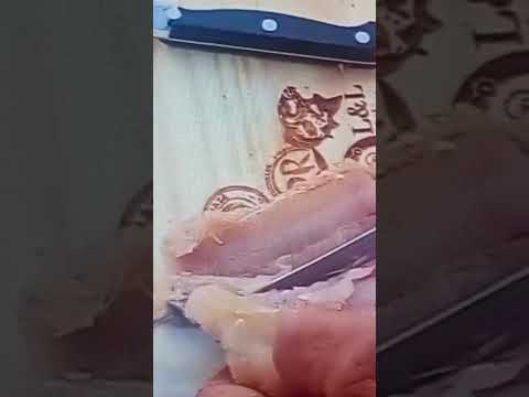 mí primo Nelson fileteando un moncholo al costado del arroyo en teodelina santa fe .