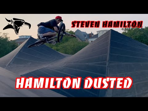 HAMILTON DUSTED - Steven Hamilton.