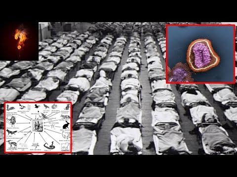 Ancient Pandemics That Nearly Wiped Out Humanity?