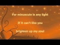 Stevie Wonder For your love  (lyrics)