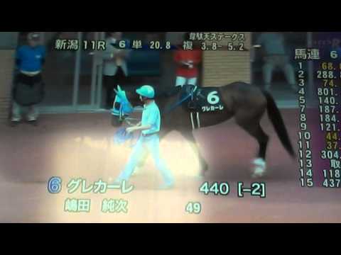 2014/5/25新潟11R 韋駄天ステークス サラ系4歳以上 1000m 芝・直（混合） オープン ハンデ