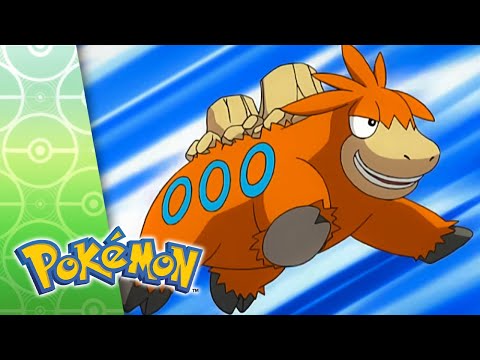 Candid Camerupt! | POKÉMON FULL EPISODE 5 | Season 7