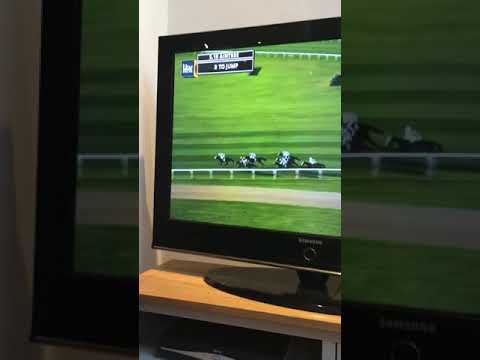 When your 5 and your horse wins the Grand National - Go Tiger Roll