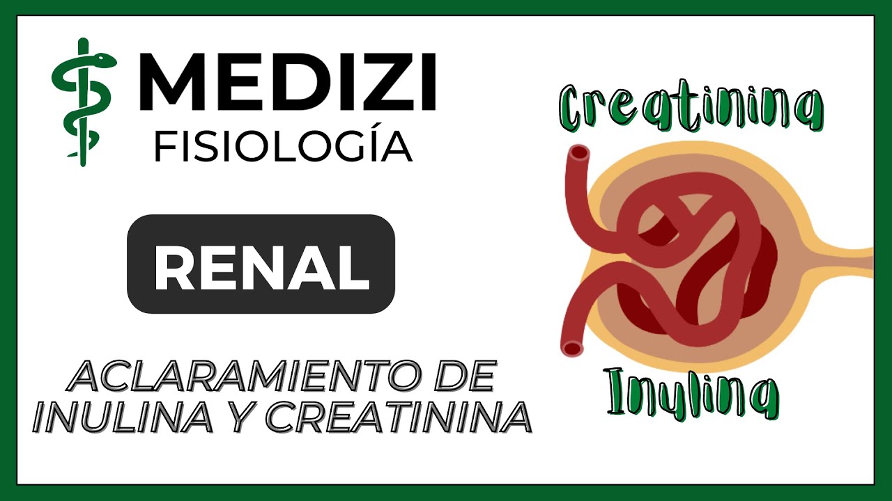 Fisiología Renal - Aclaramiento de Inulina y Creatinina (Depuración o Clearance) (IG:@doctor.paiva)