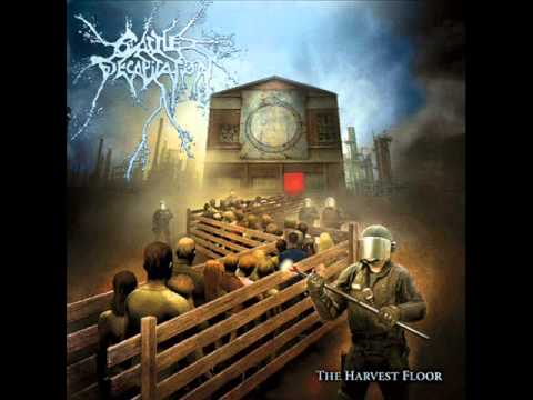 Videoclip de Into The Public Bath — Cattle Decapitation