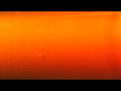 Night Light Amber Colored Video Screen for 10 Hours | NO ADS!