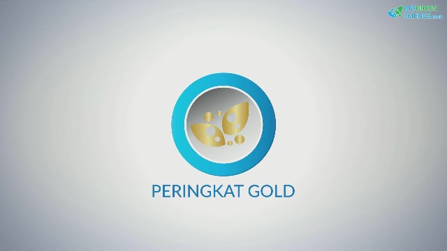 Simulasi Bonus Pairing Peringkat Gold