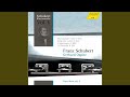12 German Dances (Landler) , Op. 171, D. 790: No. 3 in D Major