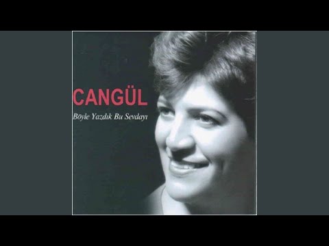 Video Yükleniyor...