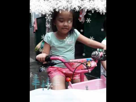 Snow Fall Camera Video