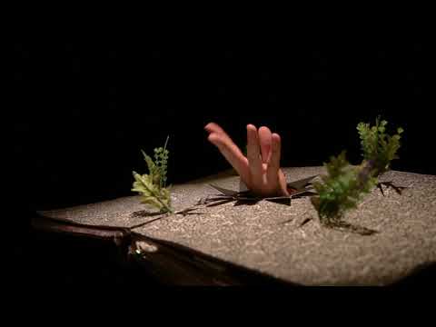 Malá čarodějnice - trailer