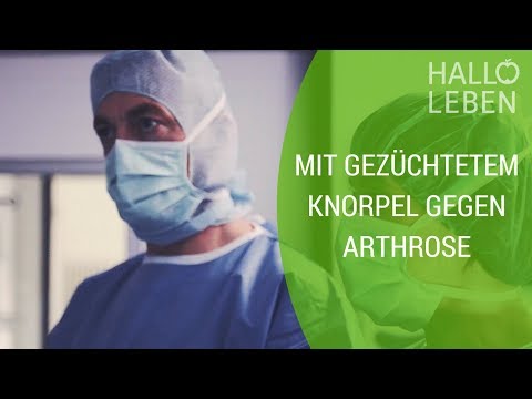 Einige Salben können für Rückenschmerzen in der Schwangerschaft angewendet werden Olivenöl auf die Gelenke