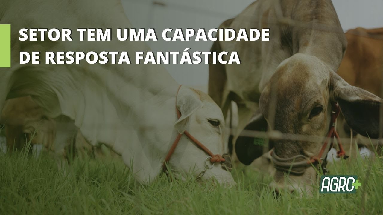 As Duas Pecuárias Brasileiras.