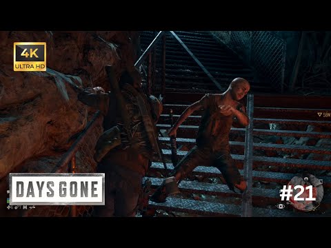 DAYS GONE PS5 Walkthrough Gameplay Part 21 What Have They Done  #daysgone #gaming