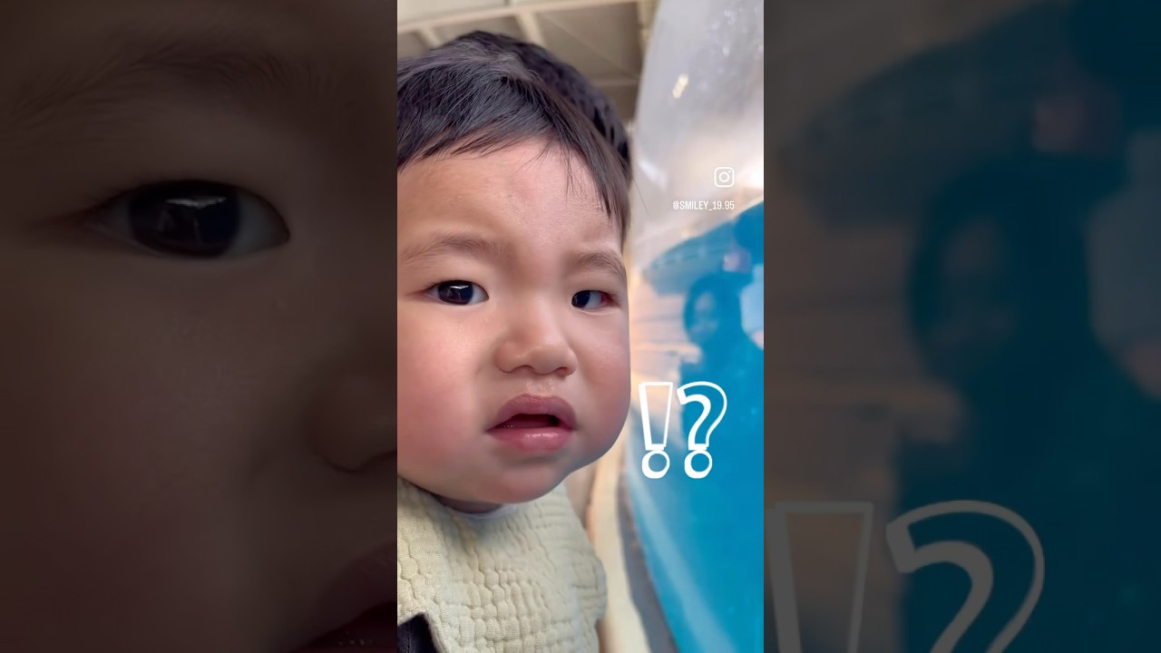 8ヶ月赤ちゃん初めての水族館。思った反応と違ったw #赤ちゃん #赤ちゃんのいる生活 #成長記録 #vlog