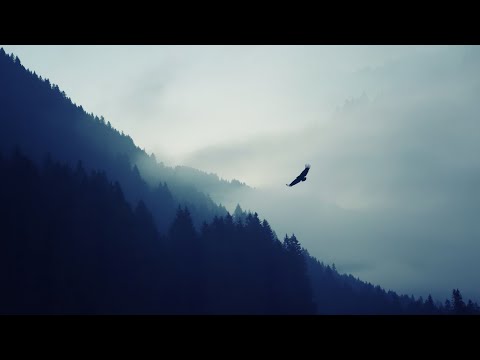 Simple and True by Her Voice Cast (Lyrics)