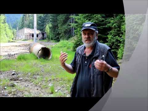 Poluare remanenta Baiut