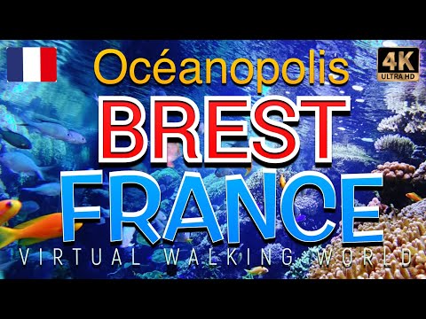 Virtual Tour of BREST FRANCE's Oceonopolis: A Must-See Destination
