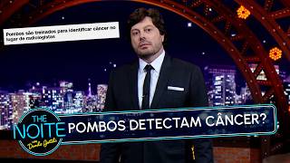 Até os pombos arrumaram emprego | The Noite (27/07/26)
