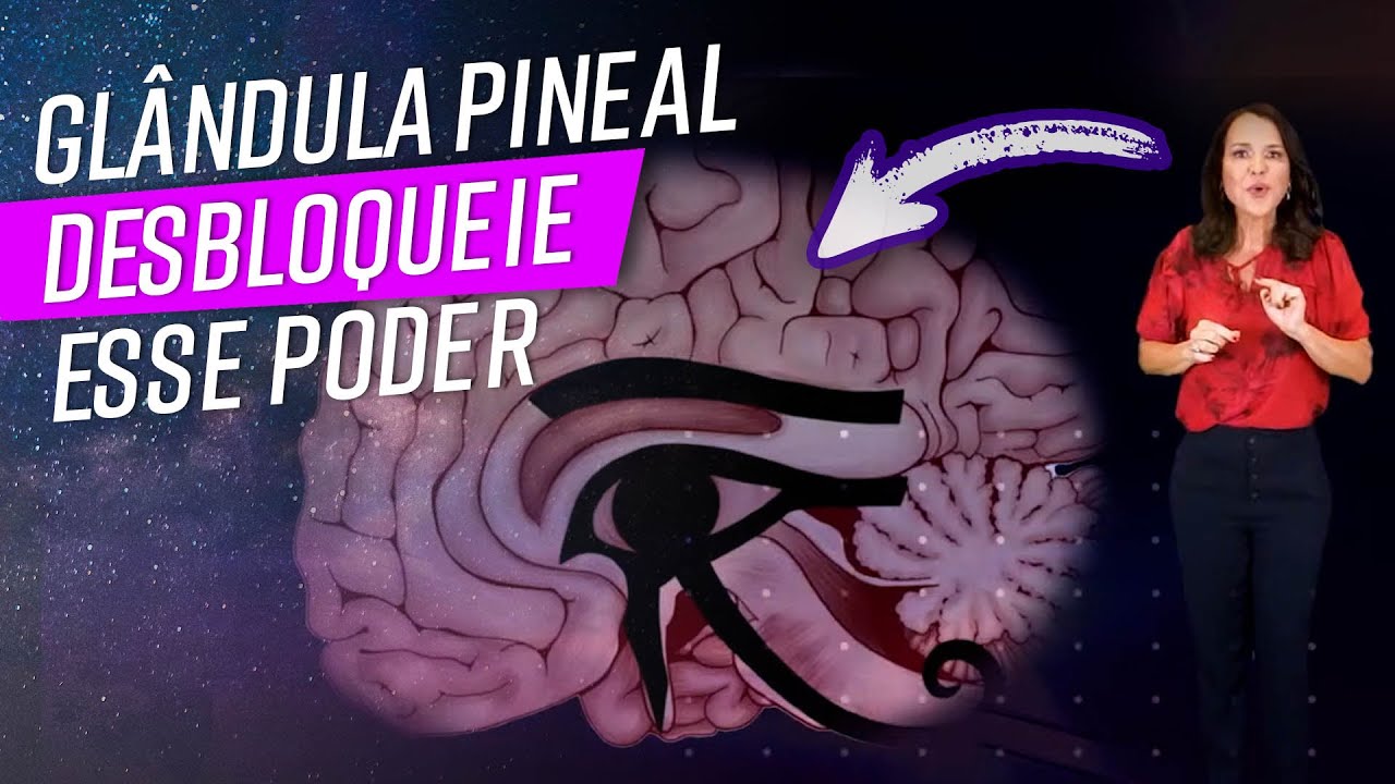 GLÂNDULA PINEAL: todos os segredos revelados!