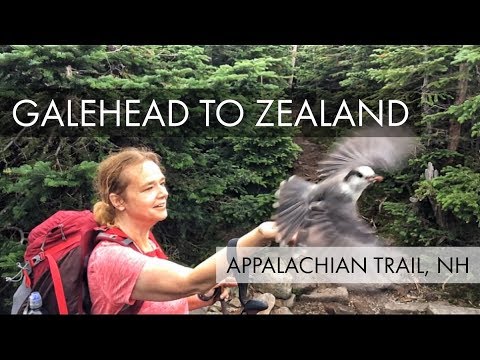 download lagu mp3 mp4 Galehead, download lagu Galehead gratis, unduh video klip Galehead