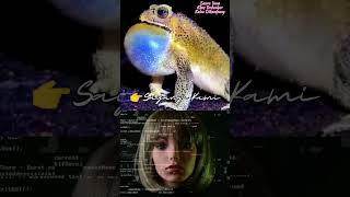 Download lagu SUARA ALAM DESA || SUARA KODOK#shorts #vidioshorts#satwabumiku mp3 Download lagu SUARA ALAM DESA || SUARA KODOK#shorts #vidioshorts#satwabumiku mp3