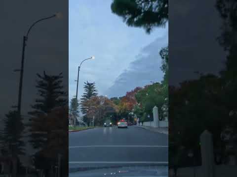 Autumn in Montevideo 🍂🇺🇾 | Driving Through El Prado