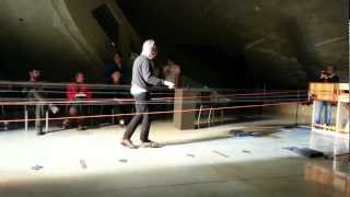 Ellen Fullman Long String Instrument Demo