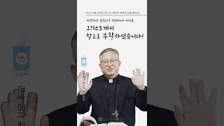 2026년 부활 대축일 메시지-춘천주교 김주영 시몬 주교의 썸네일 사진