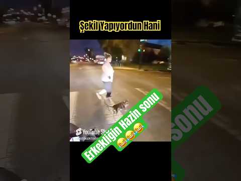 Motorcuya erkeklik yapan köpeğin hazin sonu 😆😆