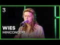 WIES live met o.a. 'Radiostilte' en nieuwe single 'Barman' | 3FM Live Box | NPO 3FM