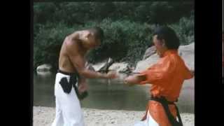 Shaolin Drunken Monk (1982) Gordon Liu [Uncut Version]