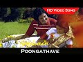 Poongathave Video Song Nizhalgal Movie Nizhalgal Ravi Raadhu Love Song Ilayaraja Hits HD