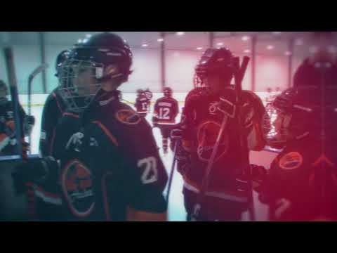 Järvenpään Haukat