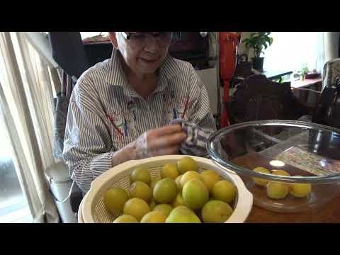 おばあちゃんの梅干し・梅シロップ（仕込み編）