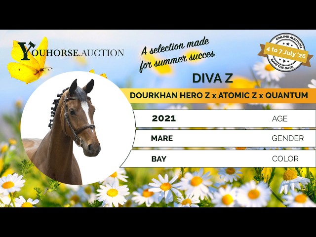 Diva Z