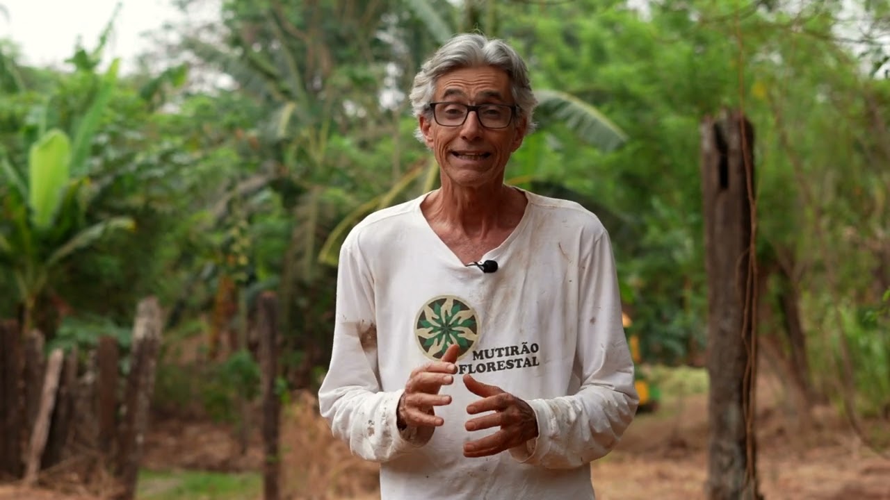 Poda em Agrofloresta - Aspectos Conceituais | Módulo 4 - Aula 3