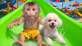 Finger family| Baby Monkey Nursery Rhymes & Kids Songs