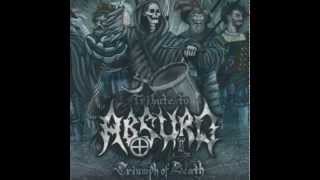 Volchiy Krest - Mourning soul (ABSURD cover)