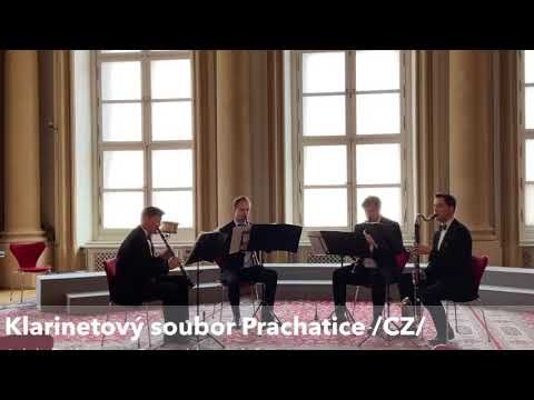 Klarinetový soubor Prachatice Boh.Rh.