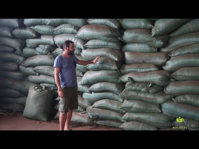 Китай. Огромный завод чая пуэр в уезде Мэнхай China Yunnan One of the biggest puer tea factory