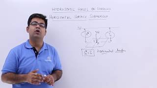 Horizontal Surface Submerged in a Liquid