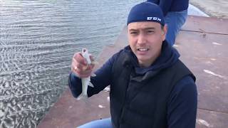 Рыбалка на лютоге в аниве