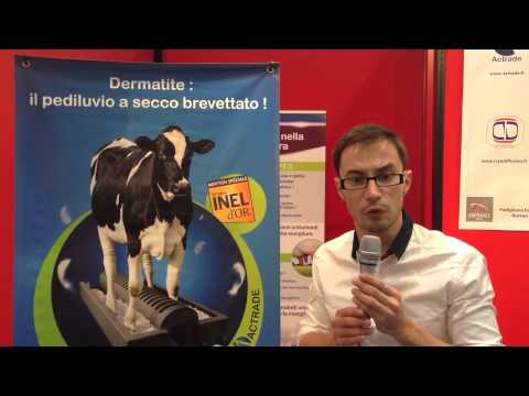 69th Cremona International Livestock Exhibitions - Actrade