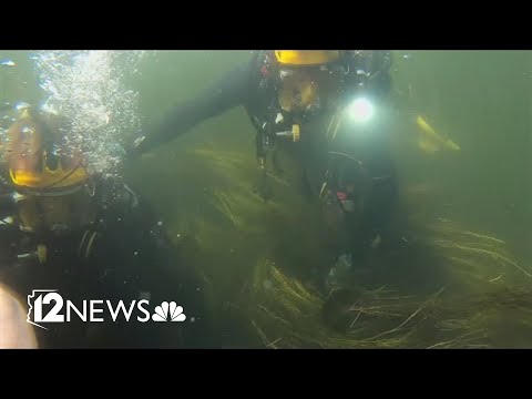 12News Exclusive: An underwater look at Maricopa County Sheriff's Dive Team