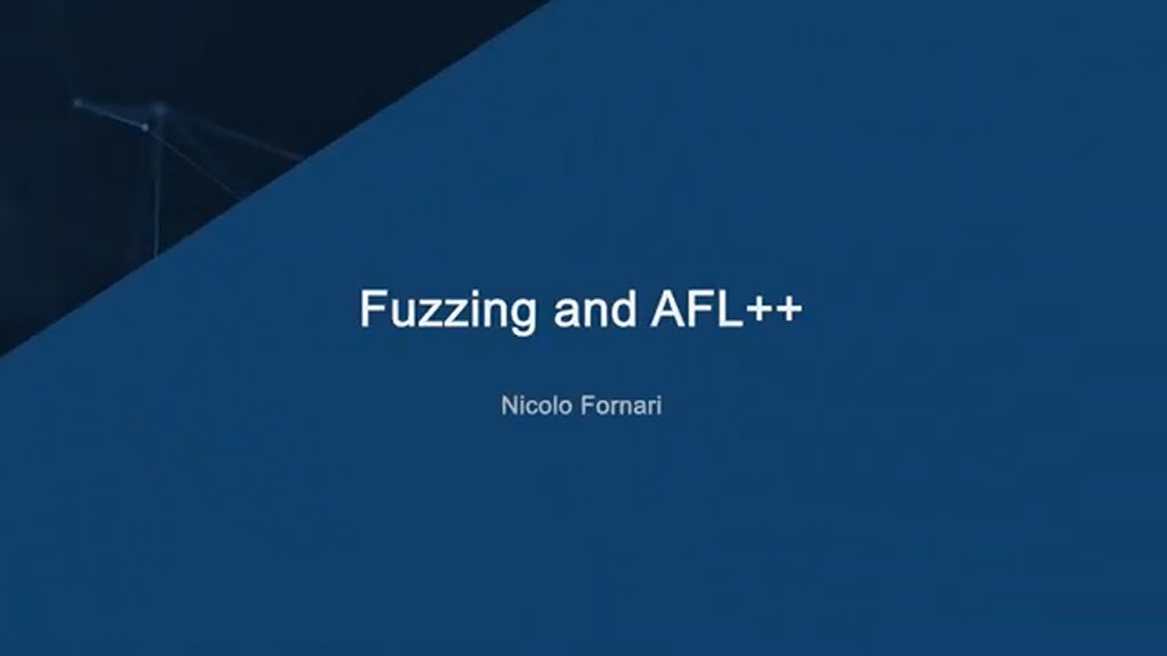 Fuzzing and AFL++