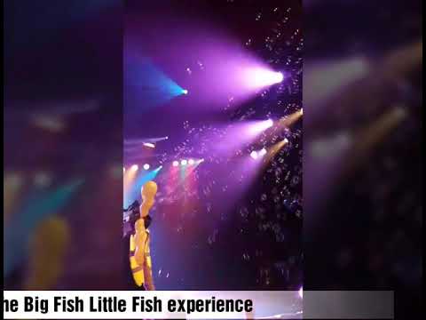 Big Fish Little Fish: Taking my baby girl to a rave