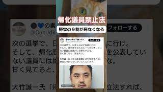 ほんとに出来たら面白いね。 #政治