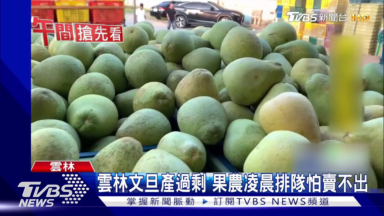 雲林文旦生產過剩　果農凌晨排隊怕賣不出