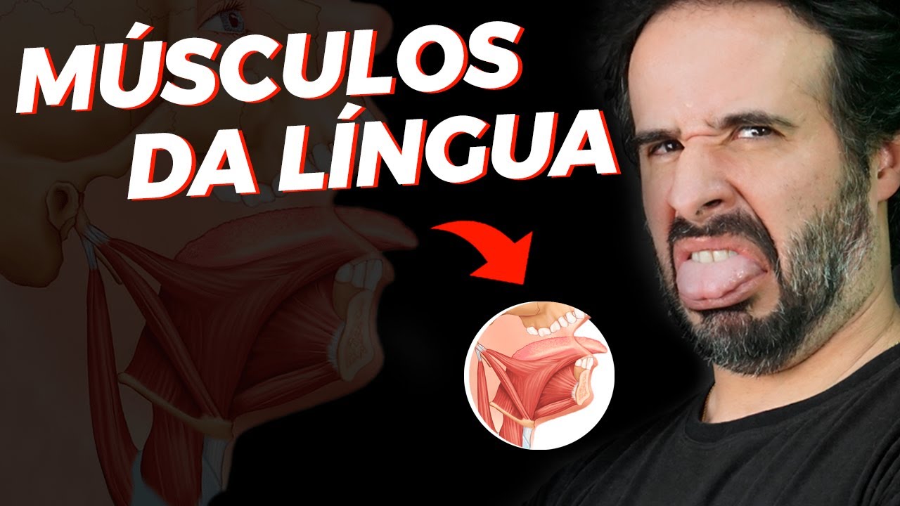 O Que é A Língua Anatomia O Que é A Língua Anatomia